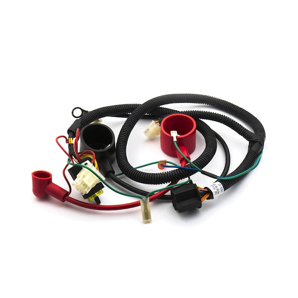 Harness-Main Wire